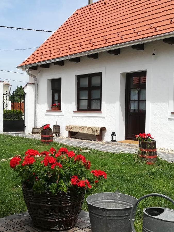 Szent Ivan Vendeghaz Tata Exterior photo